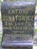 Antoni Ignatowicz, d. 18 X 1914